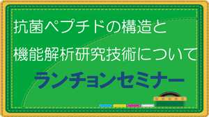 抗菌ペプチドの構造-機能解析について